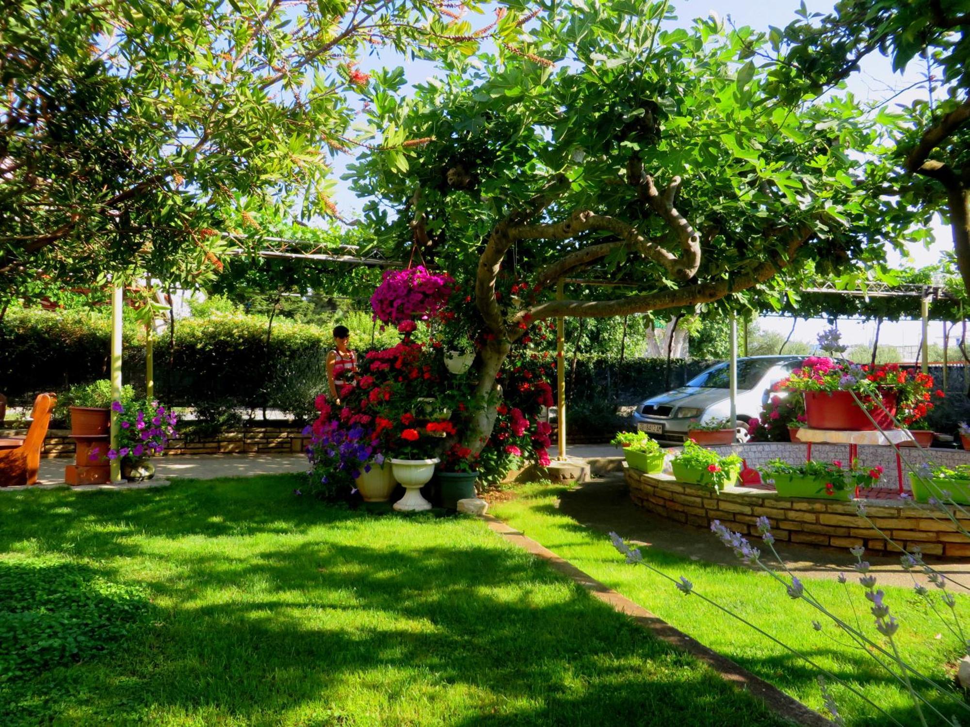 Beach Apartments Roza - The Garden Apartment Weißenburg Exterior foto